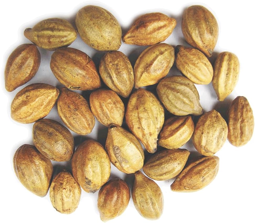 Naturals Terminalia Tsjebula | Kadukkai| Harad | Inkut | Haitaki Indisk opprinnelse Urter (200g(7 oz))