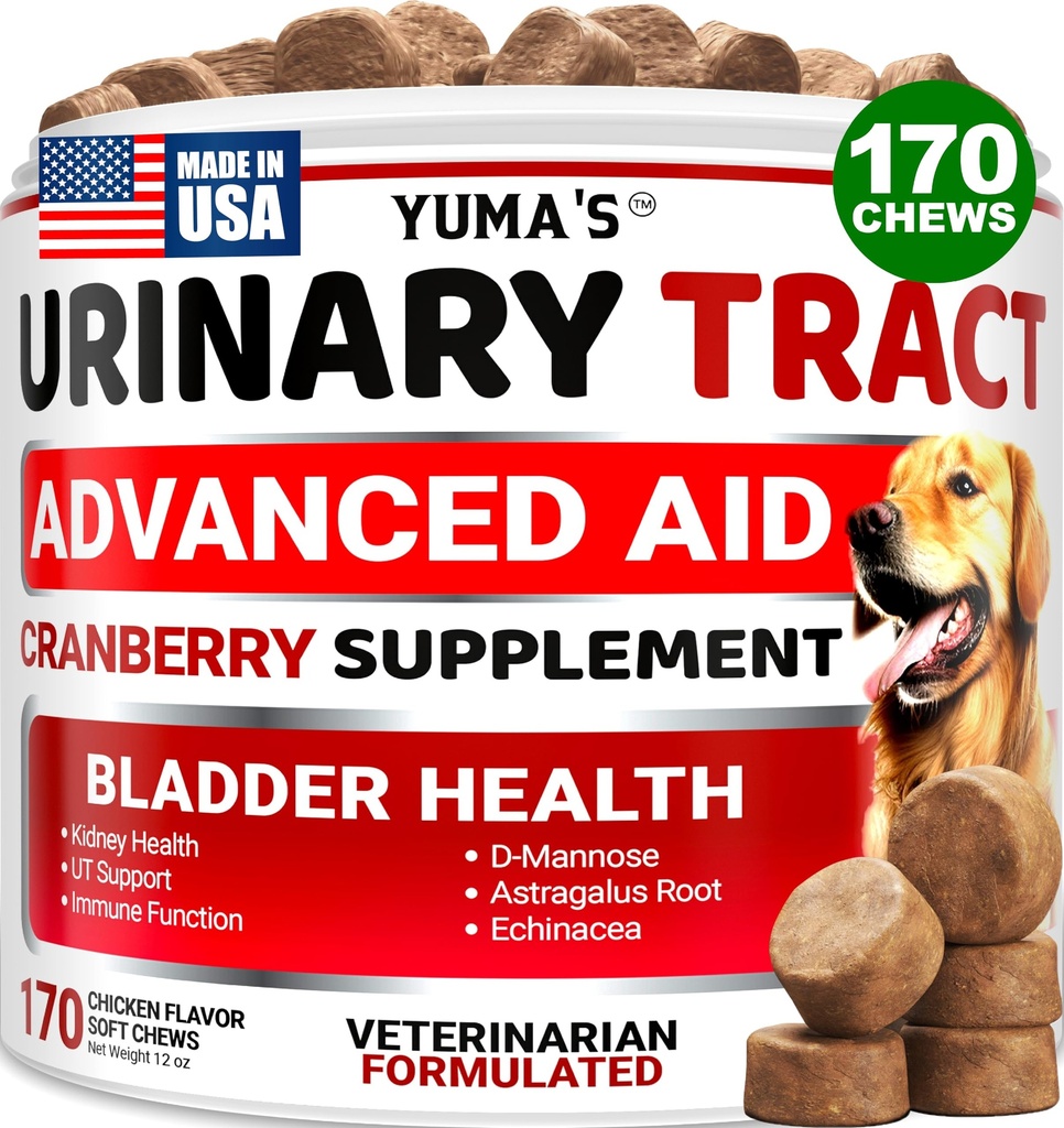 Hund UTI behandling - 170 behandlinger - Cranberry Supplement for hunder - Blader Control - urinveis infeksjon behandling - UTI medisin Multivitamin - vitaminer og kosttilskudd - laget i USA
