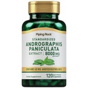 Piping Rock Andrographis Paniculata ekstrakt | 8000 mg | 120 kapsler | Standardisert Herbal Supplement | Ikke-GMO, Glutenfri