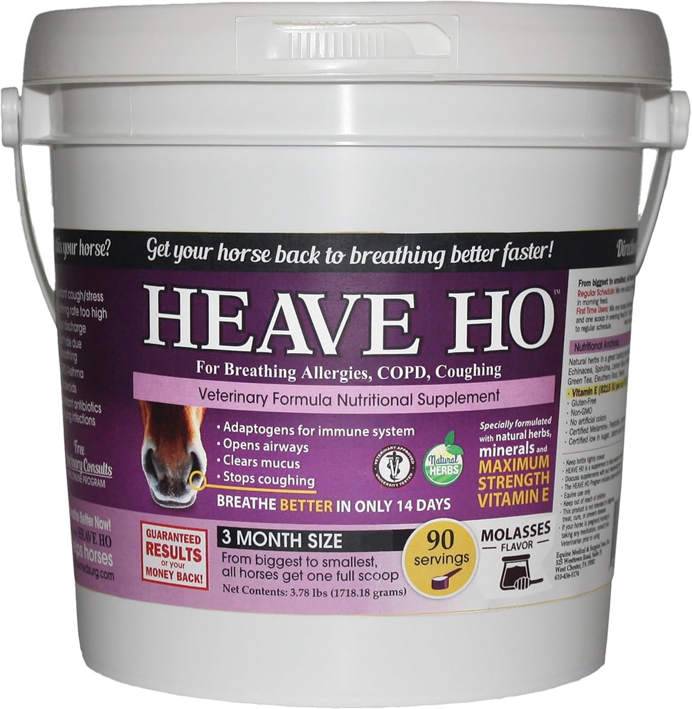 Heave Ho Molasses, 90 Services