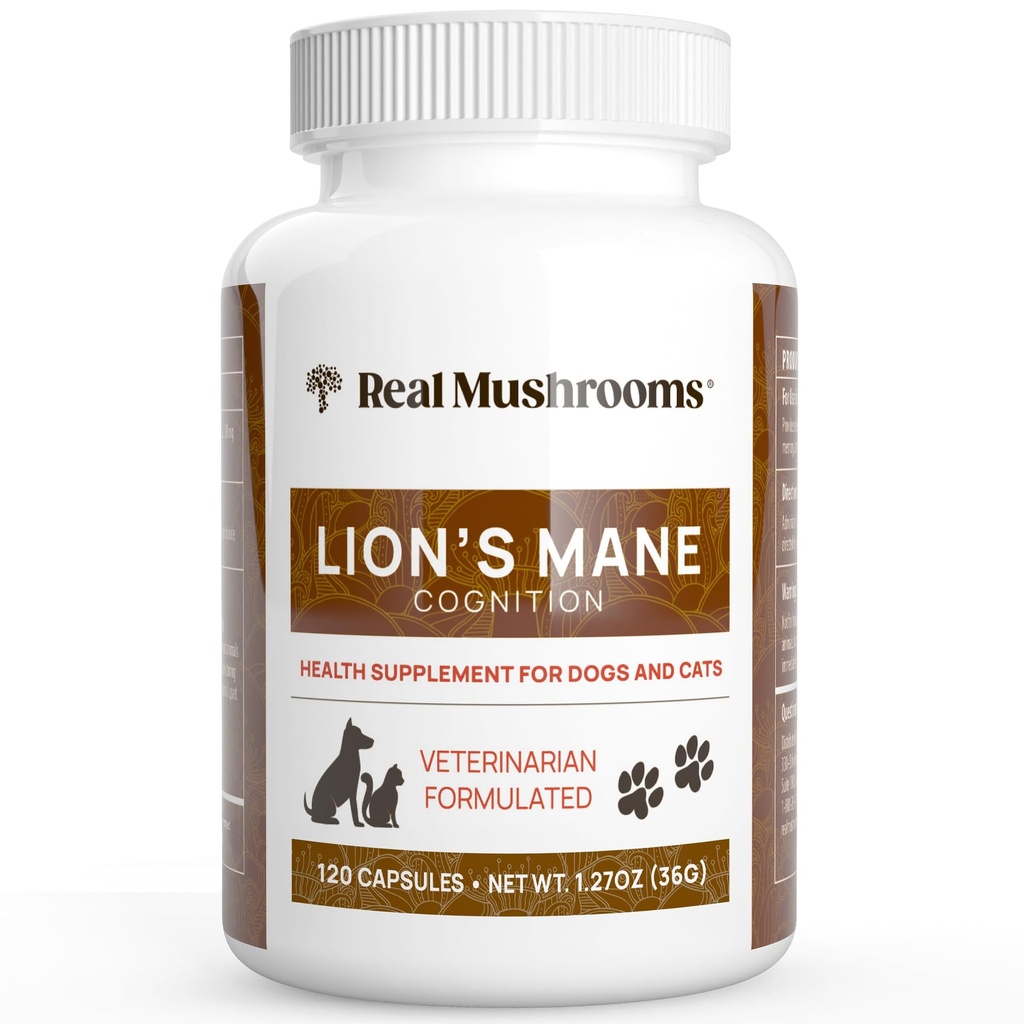 Ekte Mushrooms Lion's Mane Pet Mushroom Supplement - Kjæledyr velvære Kapsler - for Cat & Dog Supplement & Vitaminer - Støtte Mindful Rutiner - Økologiske, Vegan, Ikke-GMO, 120 greve