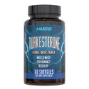 Turkesteron Supplement (500mg) Ajuga Turkestanica Extract, forbedre Lean Muscle Mass, Trening ytelse, forbedre muskelgjenoppretting med vår Softgel Absorpsjon teknologi (60 Softgels)