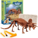 Geoworld Triceratops Dino Dig Kit - Samle en 8 tommers Autentisk Dinosaur Skeleton modell - Ultimate STEM Læringserfaring for barn i alderen 6+