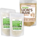 XPRS Nutra Separert Størrelse 00 Kapsler (1000 greve) med Lions Mane pulver (16 Ounce)