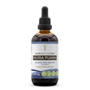 Hemmeligheter av Tribe Muira Puama Tinktur alkohol-fri flytende ekstrakt, Muira Puama (Ptychopetalum Olacoides) tørket Bark (4 FL OZ)