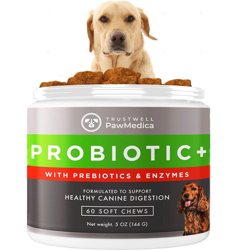 PawMedica Hundeprobiotika og Digestive Enzymer, Probiotika for hunder laget i USA, Kjæledyr Probiotiske Chews for hunder, Prebiotika og probiotika Dog Digestive Support, Probiotiske Behandlinger - 60 Hunde Probiotic Chews