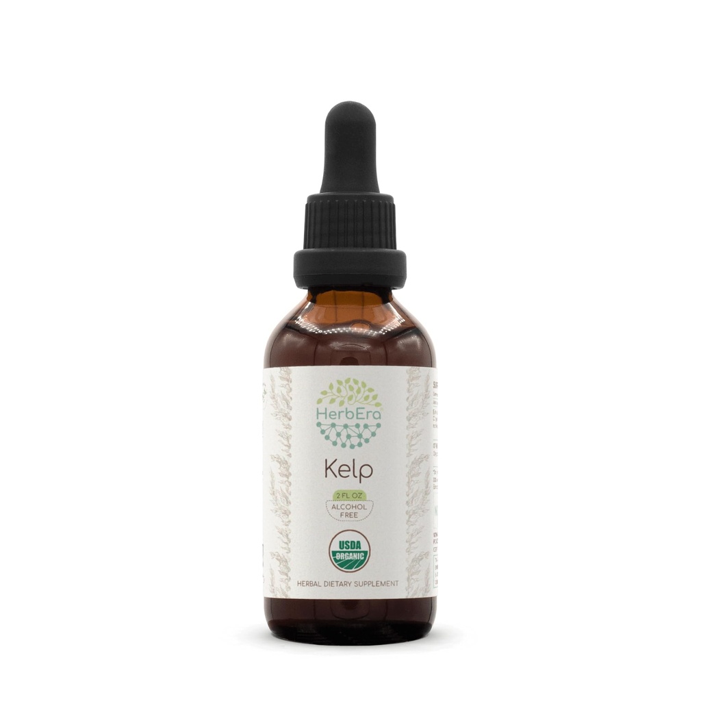 HerbEra Kelp B60 USDA Økologisk Tinktur | Alkoholfri ekstrakt, høy potens Herbal Drops | Certified Organic Kelp (Ascophyllum nodosum) Tørket plante (2 oz)