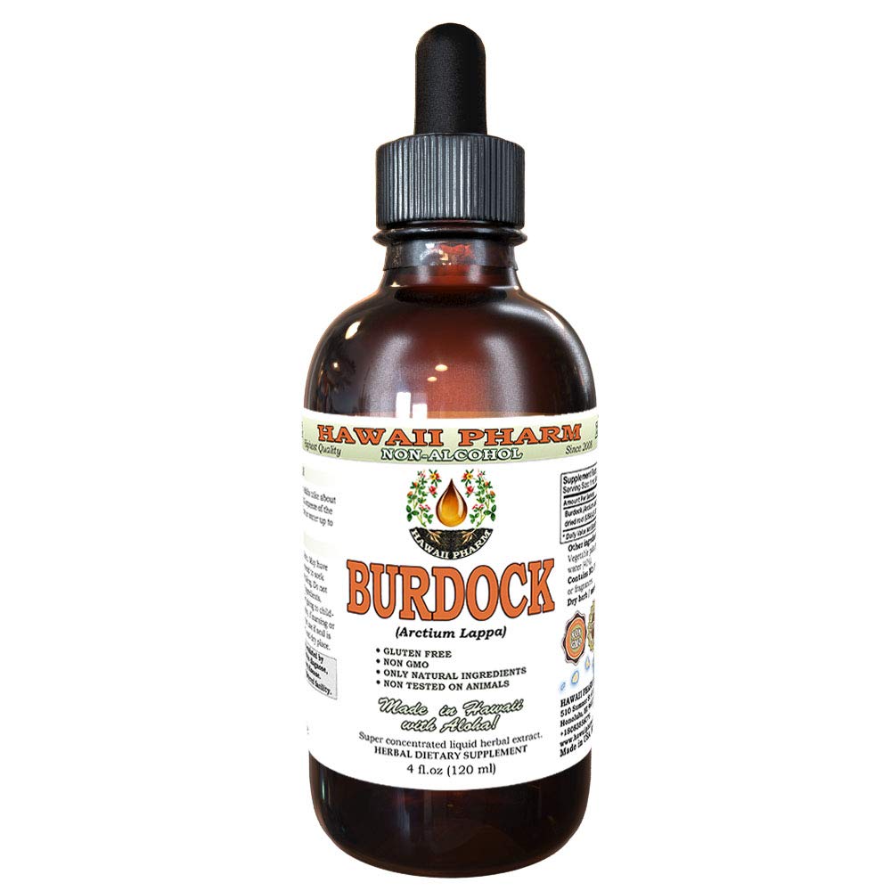 Burdock alkohol-fri flytende ekstrakt, organisk Burdock (Arctium Lappa) tørket rot glyceritt Hawaii Pharm Naturlig Herbal Supplement 4 oz
