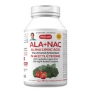 ANDREW LESSMAN ALA + NAC Alpha Lipoic Acid med N-Acetyl-Cysteine 360 kapsler - Ultra høy styrke, anti-oksydant støtte for nervesystem, hjerte, hjerne, lever, nyrer, lunger, energi. Ingen additiver