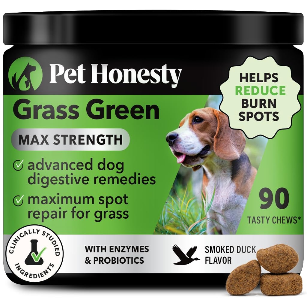 Grass Grønn Max Styrke Chews for hunder – Premium hund urine Lawn Spot Saver Supplement - støtter sunn digestion, Gut & urin helse med probiotika, DL-metionin & Yucca (90ct Duck Flavor)