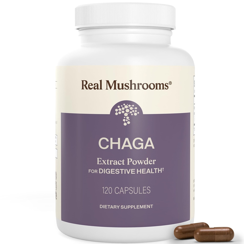 Ekte Mushrooms Chaga Mushroom Capsules – organisk Chaga Extract pulver med ekstrakt pulver for velvære og energi støtte– Vegan, ikke-GMO, 120 Kapsler – Organisk Mushroom Supplement