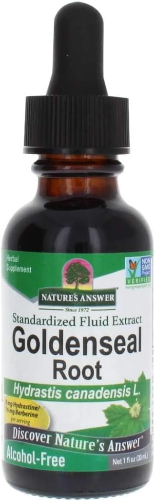 Naturens svar Golden Seal Root ekstrahere alkohol gratis 1 Ounce | Naturlig immunforsterker | Fremmer lunge helse
