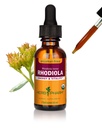 Herb Pharm Certified Organic Rhodiola Root Extract for energi, utholdenhet og utholdenhet, alkoholfri glyceritt, 1 Ounce