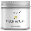 ren Garcinia Cambogia Extract Supplement 500mg - 100% naturlig HCA Extract konsentrert til 60% - støtter sunn digestion og metabolisme - 60 kapsler