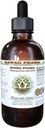 Muira Puama alkohol-fri flytende ekstrakt, organisk Muira Puama (Ptychopetalum Olacoides) Glyceritt Naturlig Herbal Supplement, Hawaii Pharm, USA 4 oz