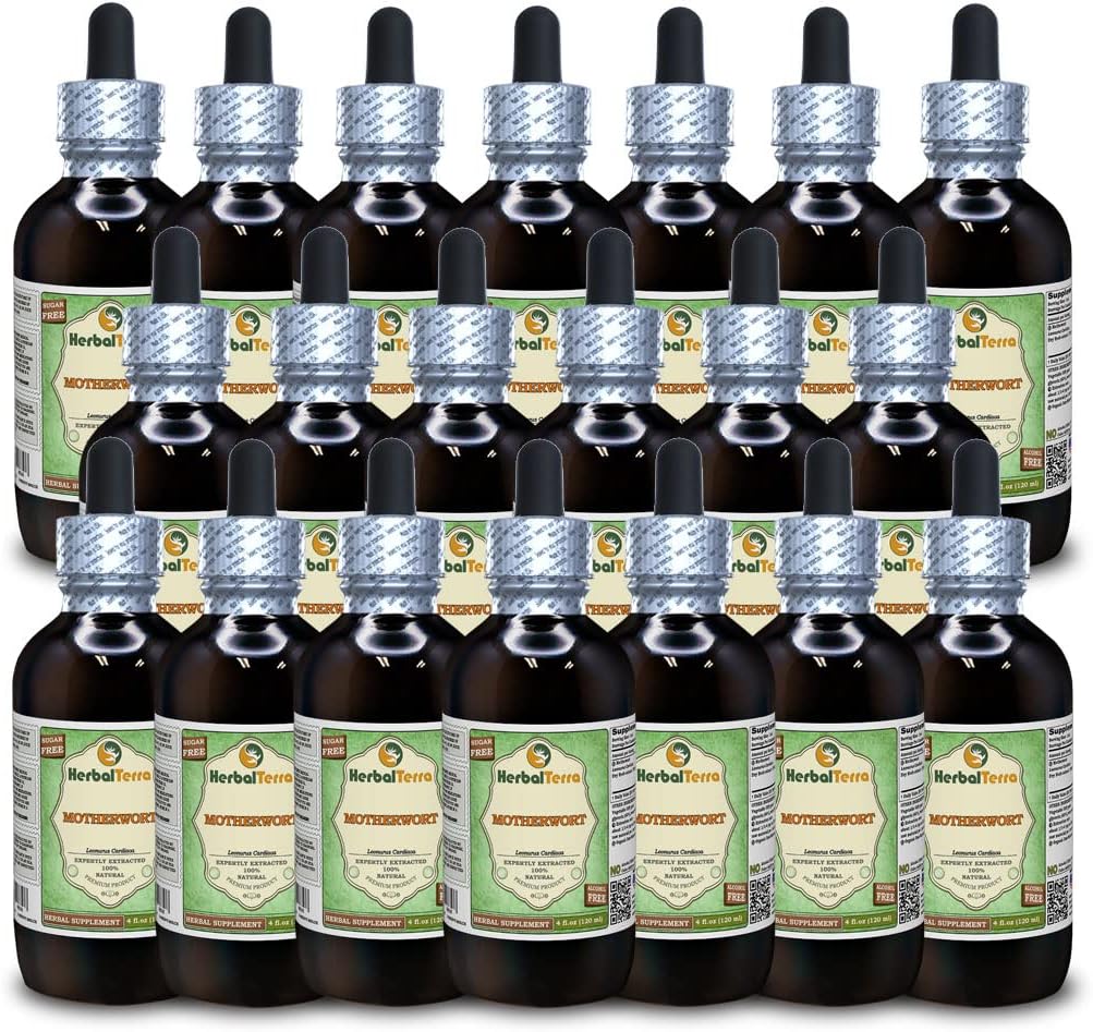 Motherwort (Leonurus Cardiova) Glyceritt, organisk tørket urte alkohol-fri flytende ekstrakt (brent navn: HerbalTerra, stolt laget i USA) 20x4 fl.oz (20x120 ml)