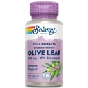 SOLARAY garantert potens Olive Leaf ekstrakt dobbel styrke, Veg Cap (Btl-Plastic) 500mg
