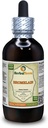 Bromelain (Ananas Comosus) Tinktur, tørket pulver flytende ekstrakt (Brand Navn: HerbalTerra, Proudly laget i USA) 4 fl.oz (120 ml)