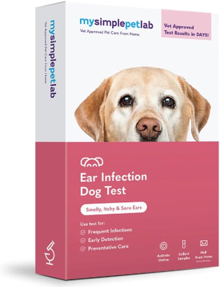 MySimplePetLab Hund Øreinfeksjonstestsett, Vetgodkjent, Detekterer Yeast & Bakterier, Mail-in Kit, Raske resultater, Enkel hjemme bruk for luktig, kløende ører, støtter hunden ørehelse