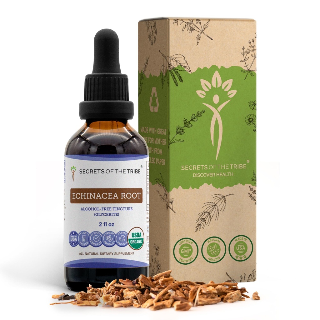 Echinacea Root USDA Økologisk Tinktur | Alkoholfri ekstrakt, høy potens Herbal Drops, Immunsystem Helse | laget av 100% sertifisert organisk Echinacea Root (Echinacea Purpurea) 2 oz