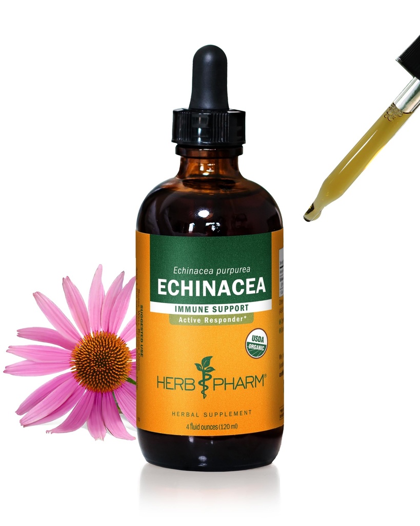 Herb Pharm Certified Organic Echinacea Root Liquid Extract for immunsystem støtte, Organic Cane alkohol, 4 Ounce