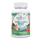 Nordic Naturals Kids Rolig Gummies - Jordbær Vannmelon - 60 Gummies - Magnesium L-Theanine Supplement - beroligende for barn - Avslappende støtte - Opptil 60 Serveringer