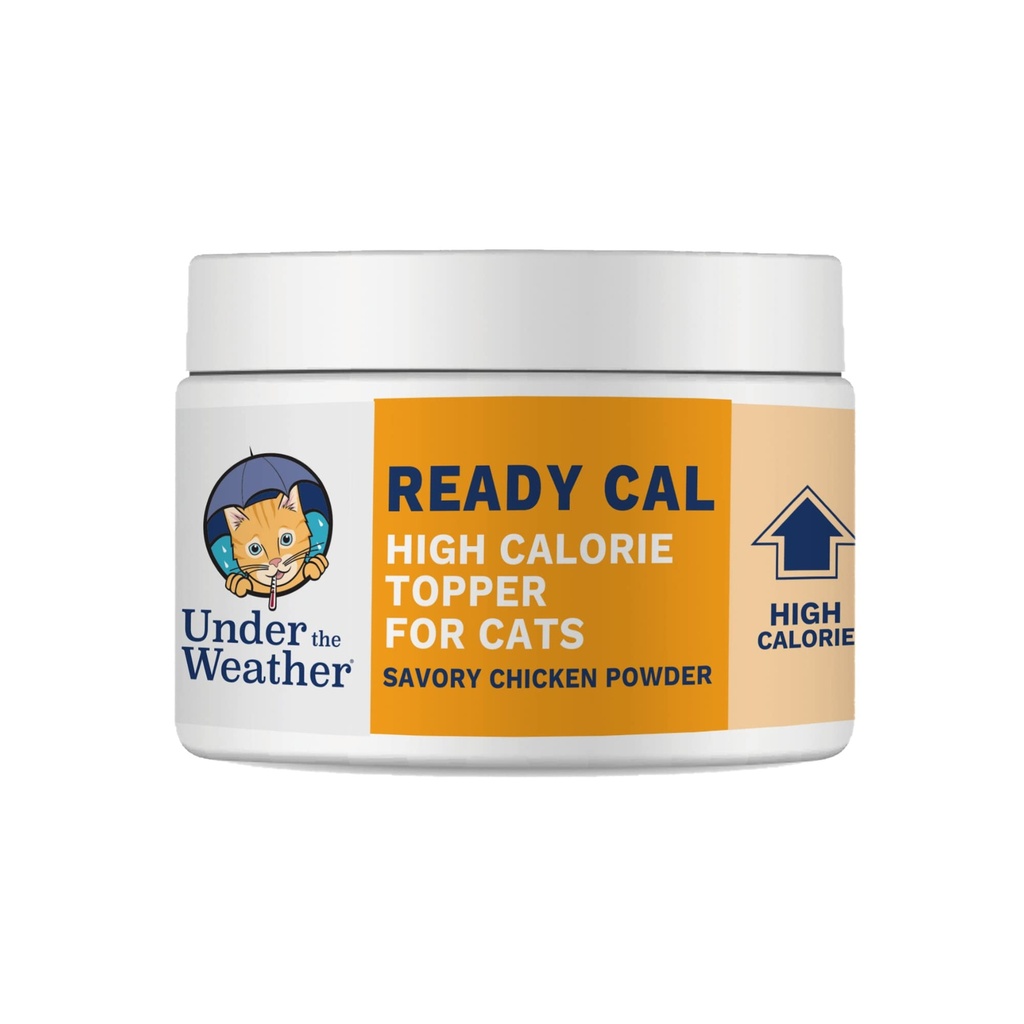 Under været Klar Cal pulver for katter | høykalori, vekt gevinst, Appetite Stimulant, energiforsterkning Pet Supplement | 8 Ounces