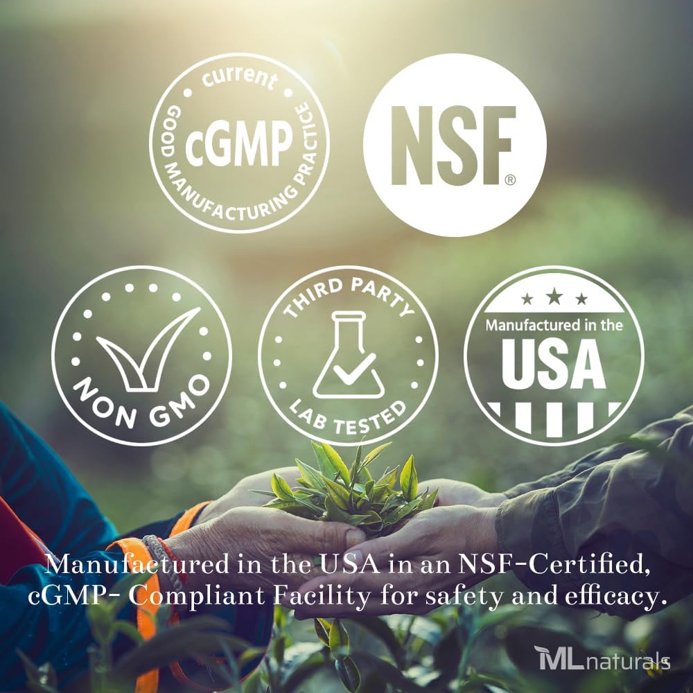 ML Naturals Mushrooms Complex 120 Grønnsaker Kapsler. 6 Viktige Mushrooms: Organic Reishi, Lion's Mane, Cordyceps, Sunn Immune Support, NSF-Sertifisert og cGMP-Compliant.