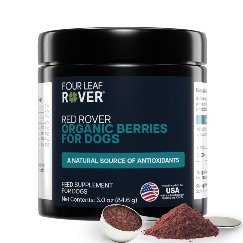 Four Leaf Rover Rød Rover - Hund Urin Tract Supplement - med vitaminer fra organiske bær og Apple - God kilde til polyfenoler og antioksidanter - 30 store hunde serveringer