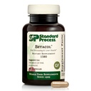 Standard prosess Betacol - støtter leverfunksjon og bilproduksjon - Liver Helse Supplement med Niacin & Vitamin B6 - Glutenfri, ikke-døyende og ikke-soy - 90 kapsler