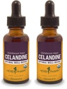 Herb Pharm-sertifisert organisk celandine flytende ekstrakt - 1 Ounce (pakke med 2)