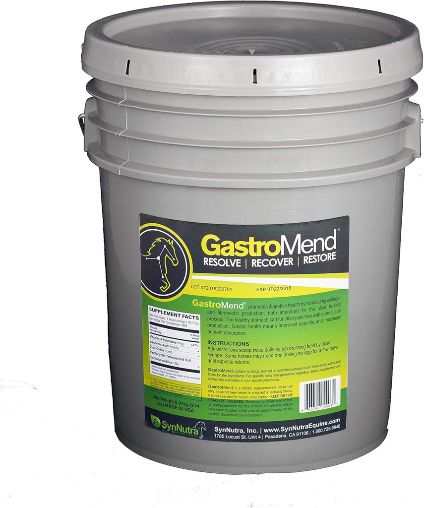 SynNutra GastroMend (GastroMend - 600 dose Bucket) 100% naturlig