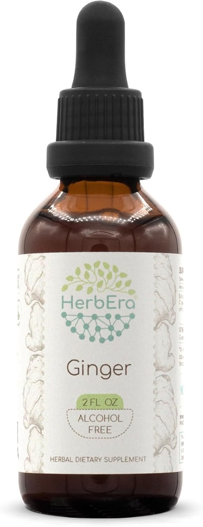 HerbEra Ginger B60 Alkoholfri Herbal Ekstrakt Tinktur, Super-Konsentrert Ginger (Zingiber officinale) 2 fl oz