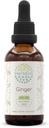 HerbEra Ginger B60 Alkoholfri Herbal Ekstrakt Tinktur, Super-Konsentrert Ginger (Zingiber officinale) 2 fl oz