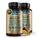 Shilajit ren Himalayan Organic Capsules med Irish Sea Moss, Ashwagandha, Kobber, Beet Root - Fulvic Acid Trace Minerals Supplement for menn og kvinner - 90 greve, ikke-GMO, Glutenfri