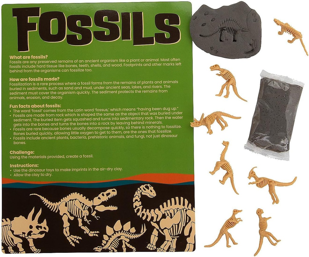 Fun Express Gjør din egen Fossil Craft Kit - gjør 12