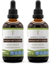 Secrets of the Tribe Stinging Nettle Root Tinkture alkoholekstrakt, høy potens urtedråper, tinktur laget av Stinging Nettle Urtica Dioica andning og urinsystem helse 2x4 oz