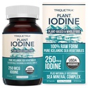 Organisk iodin Supplement fra Sea vegetability Complex, Hele mat & rå form - Iodine Plus Trace Mineral Complex - Inneholder reneste islandske sjøen Kelp, irske Moss & Bladderwrack (250 mcg)