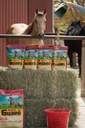 Hestevakt 4.6 lb, Equine vitamin Mineral Supplement med organisk selen & vitamin E