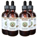 Selfheal alkohol-fri flytende ekstrakt, organisk selfheal (Prunella Vulgaris) tørket Herb Glycerite Naturlig Herbal Supplement, Hawaii Pharm, USA 4x4 fl.oz