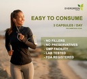 Evergreen urter Supplement Herbal Capsules 90 Count (Senna Leaf) - Tamper Proof Seal å sikre friskhet.