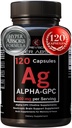 Alpha GPC Supplement & BioPerine for Hyper Absorpsjon - 120 greve, Alpha-GPC 600mg per servering - Nootropics for minne, fokus, energi, og kjøre - Choline Kosttilskudd for å øke Acetylkolin, laget i USA