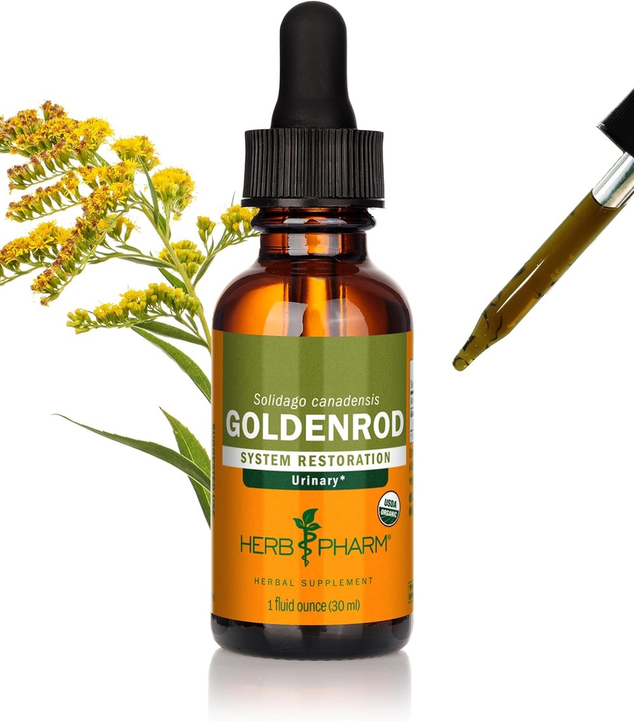 Herb Pharm Certified Organic Goldenrod flytende ekstrakt for urinsystem støtte, 1 Fl Oz (pakke med 1)