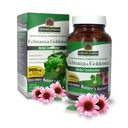 Naturens svar Echinacea & Goldensel | Kosttilskudd | Støtter et sunnt immunsystem | Ikke-GMO & Kosher sertifisert | Vegetarisk / vegansk kapsler 90ct
