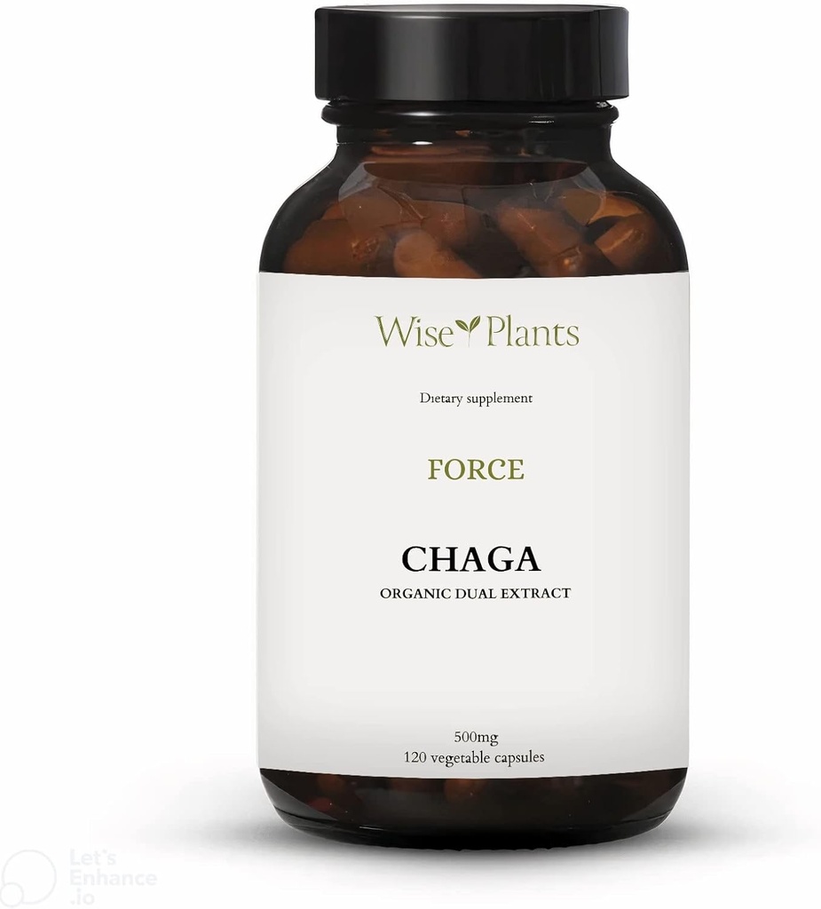Chaga Mushroom Supplement. Dual Extract, ren fruktlegeme, 30% polysakkarider, 500 mg, 120 vegekapsler (120-dagers forsyning). Kan støtte sunn fordøyelse, immunfunksjon og fremme hjerte helse.