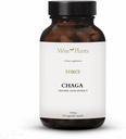Chaga Mushroom Supplement. Dual Extract, ren fruktlegeme, 30% polysakkarider, 500 mg, 120 vegekapsler (120-dagers forsyning). Kan støtte sunn fordøyelse, immunfunksjon og fremme hjerte helse.