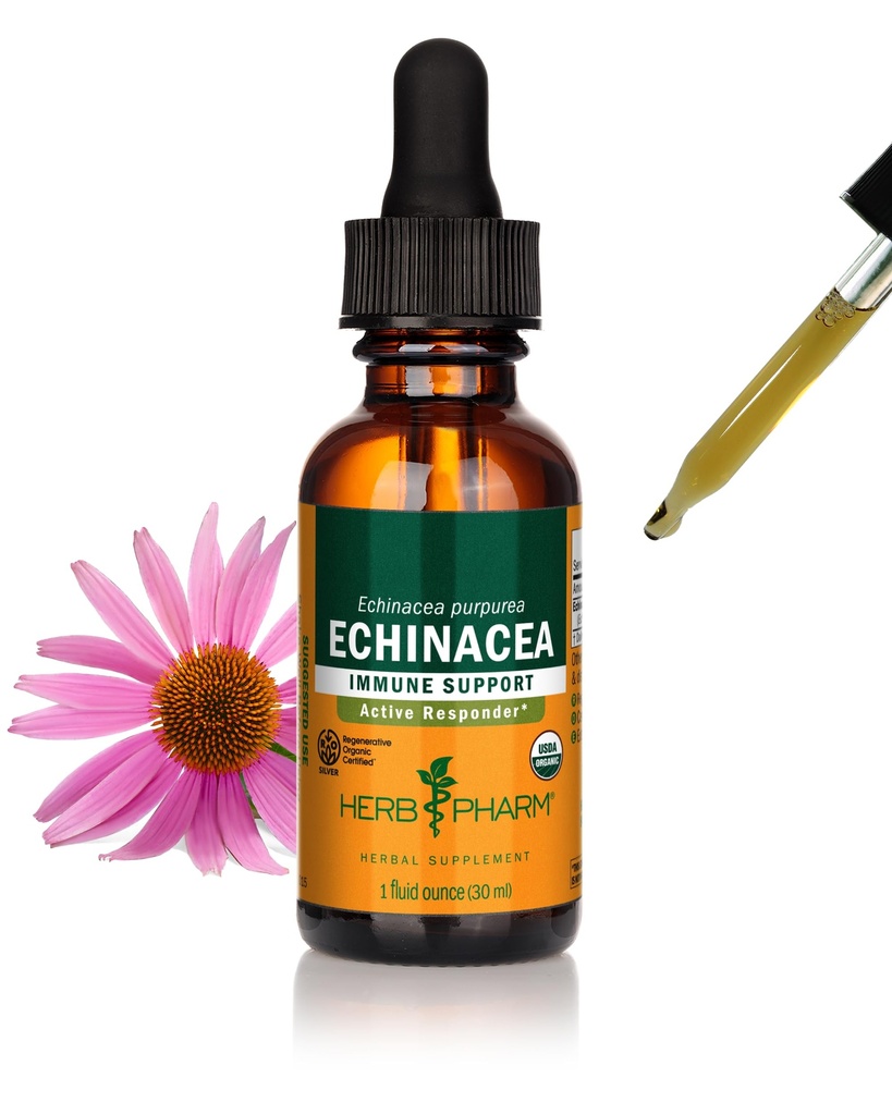 Herb Pharm Certified Organic Echinacea Root Liquid Extract for immunsystemstøtte, Organic Cane alkohol, 1 Ounce (DECH01)