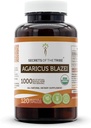Hemmeligheter av Tribe Agaricus Blazei 120 Kapsler, 1000 mg, USDA Organic Agaricus blazei murill tørket moshroom (120 kapsler)