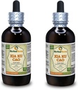 Xia Ku Cao, Prunella (Prunella Vulgaris) Tinktur, organisk tørket Spike pulver flytende ekstrakt (merkenavn: HerbalTerra, stolt laget i USA) 2x4 fl.oz (2x120 ml)