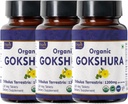 Gokshura 120 tabletter | Tribulus terrestris (Gokshura) | USDA Økologisk sertifisert | støtter immunitet og styrke | Økologisk og naturlig 120tab - Pakke med 3